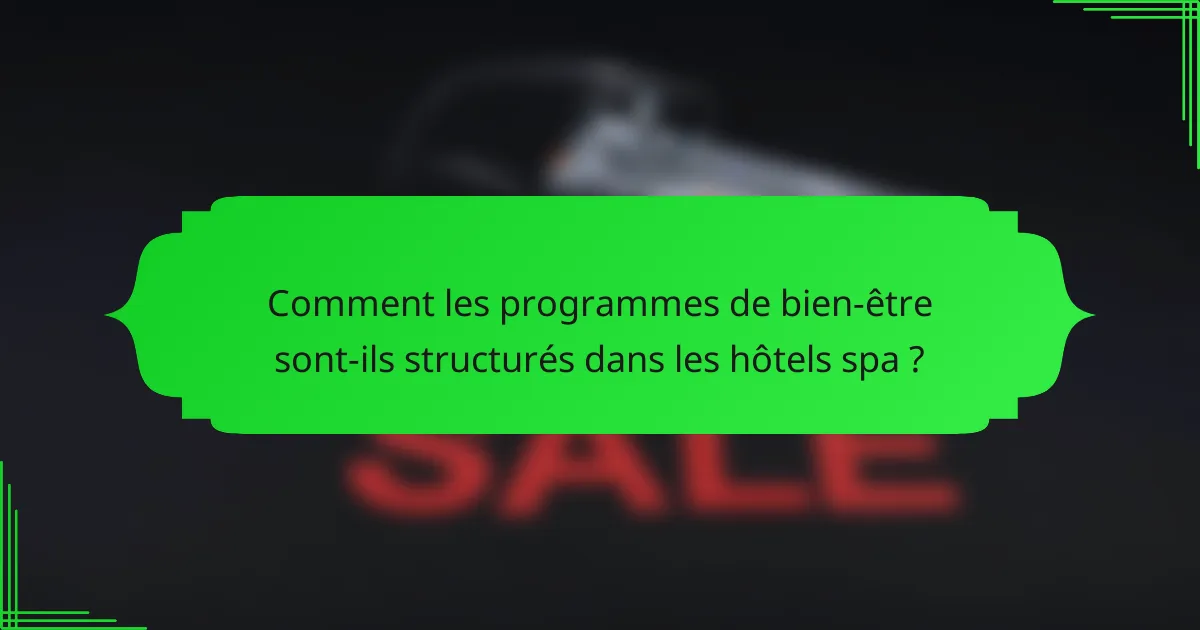 Comment les programmes de bien-être sont-ils structurés dans les hôtels spa ?