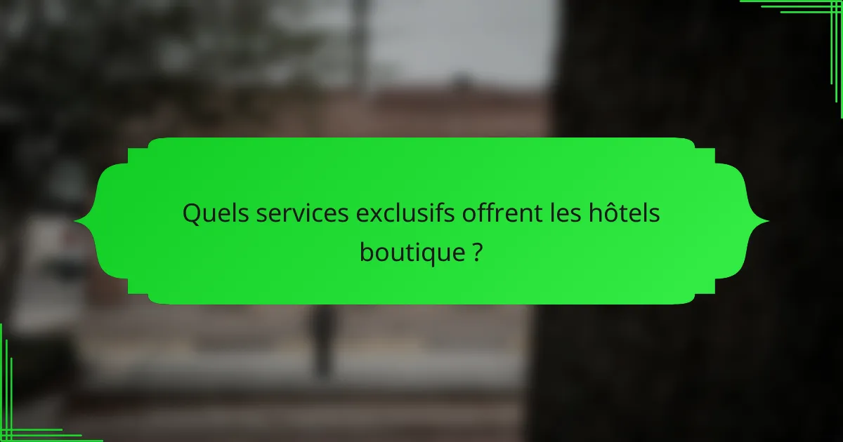 Quels services exclusifs offrent les hôtels boutique ?