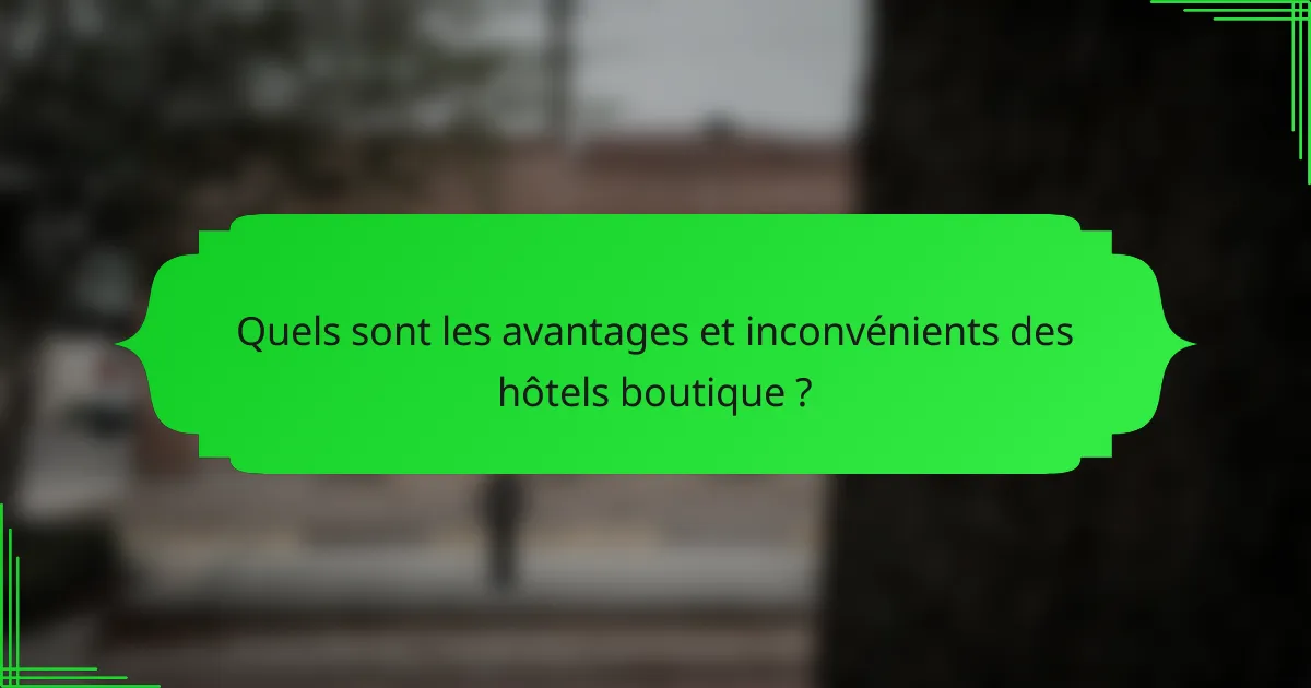 Quels sont les avantages et inconvénients des hôtels boutique ?